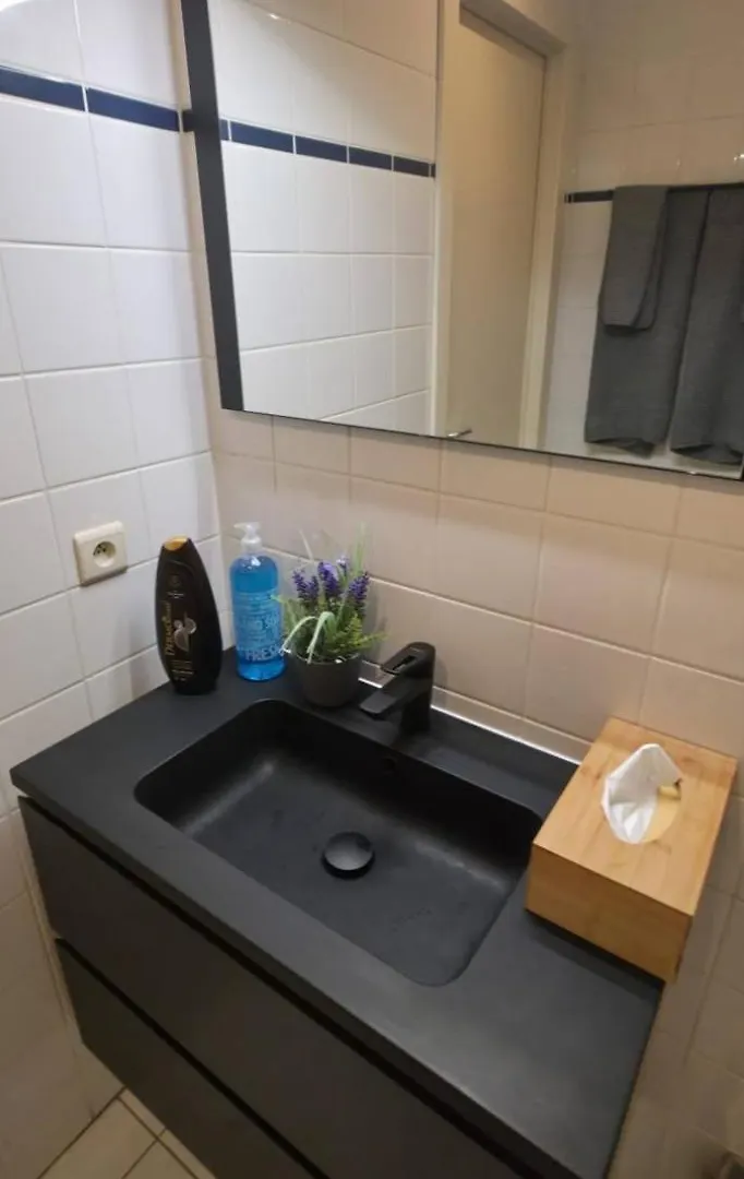 Green Cosy Studio Брюссель Апартаменты