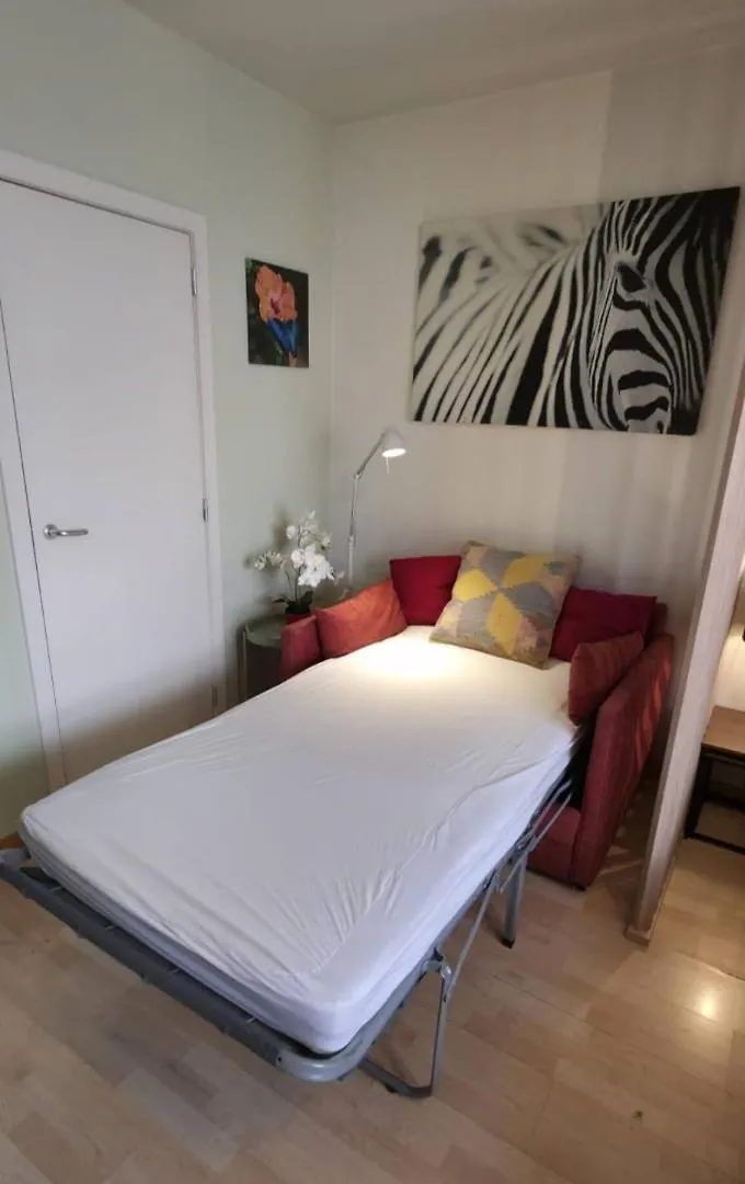 Green Cosy Studio Брюссель Бельгия